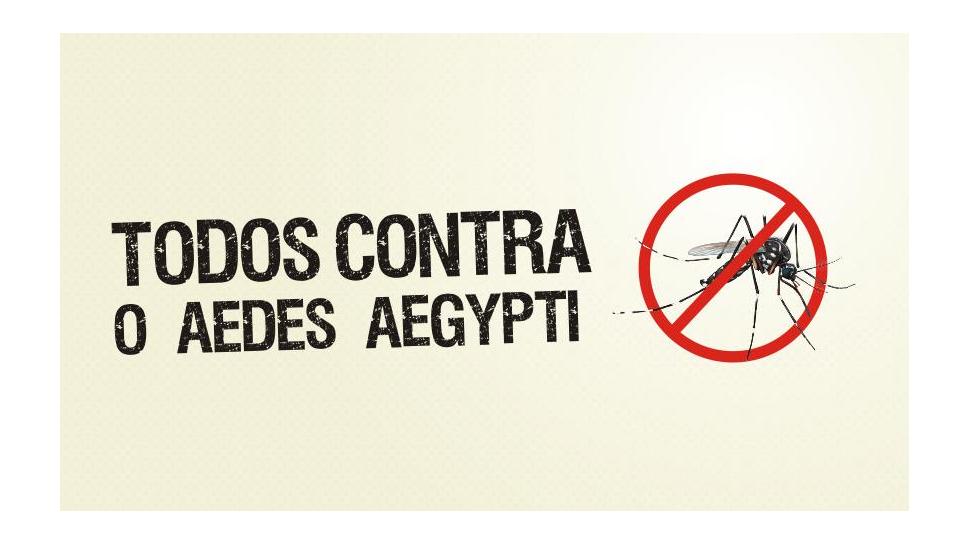 Ação de combate ao mosquito Aedes Aegypti