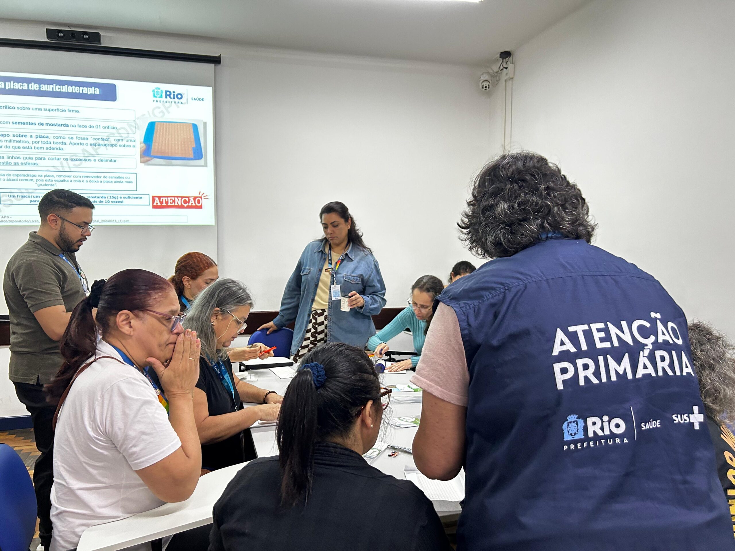 Qualificação de auriculoterapia PICS